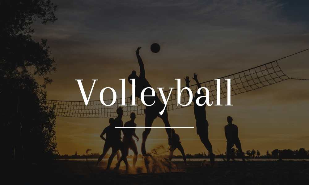 plusieurs personne jouant au volleyball au coucher de soleil