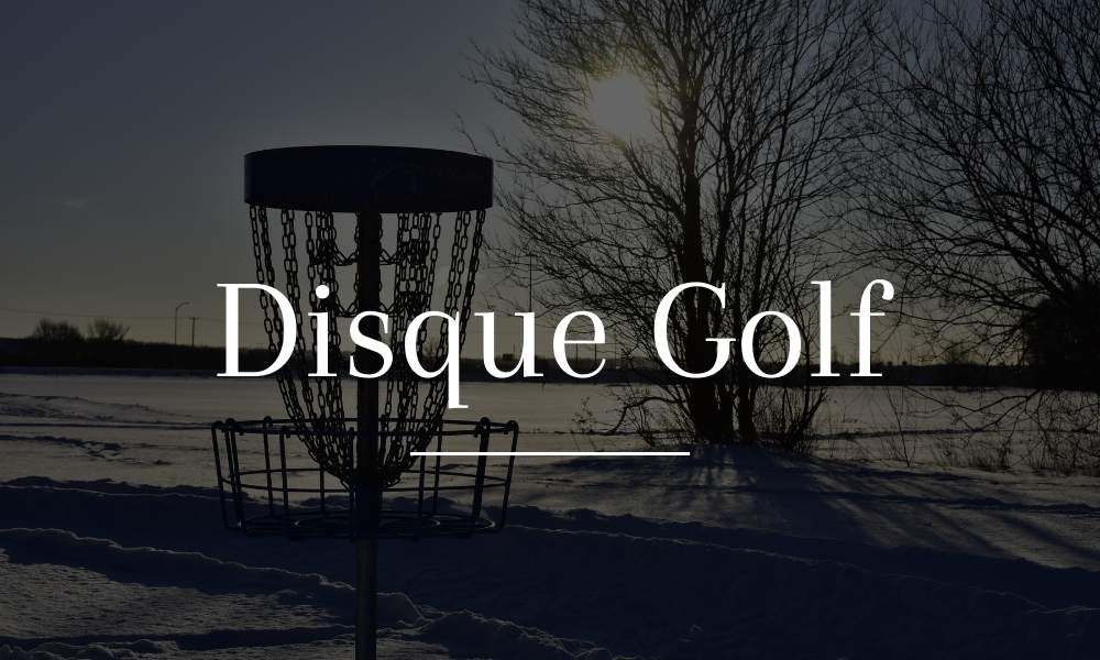 Panier de disc golf