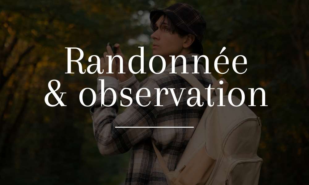 écriture Randonnée et observation avec comme fond un jeune homme debout au milieu d'une route forestière admirant la nature et prenant des photos