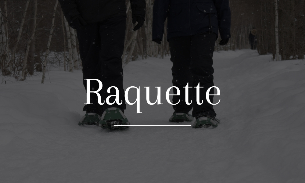 Randonneurs en raquette